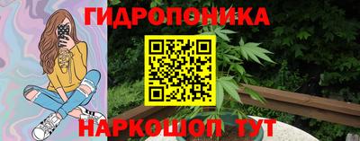 СК Канаш
