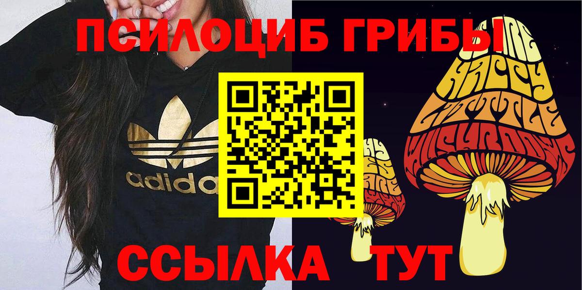 Ковров  Галлюциногенные грибы Cubensis  Вход с VPN 