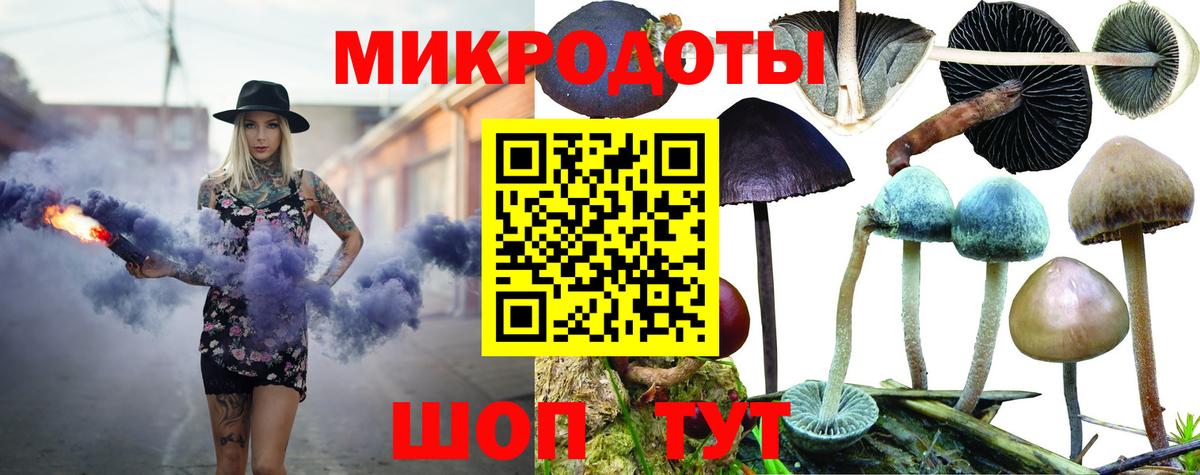 Галлюциногенные грибы Psilocybine cubensis Ковров
